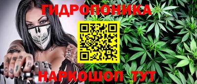 шишки Комсомольск-на-Амуре