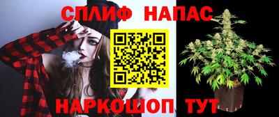 молекула духа Конаково