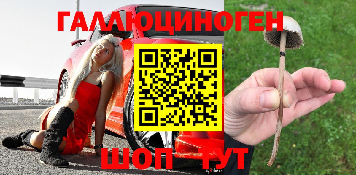 Галлюциногенные грибы MAGIC MUSHROOMS Красноярск